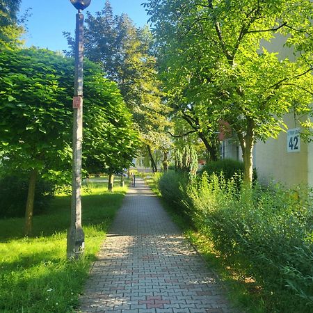 Przytulne Mieszkanie Wola Duchacka Appartement Krakau Buitenkant foto
